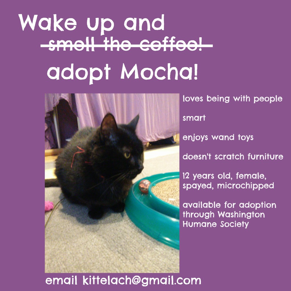 adoption flyer